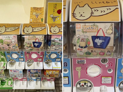 アオアヲナルトリゾート