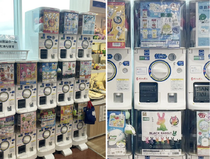 アオアヲナルトリゾート